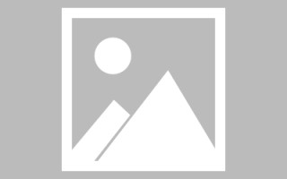 肇庆网页优化和设计人才（网站优化职位）